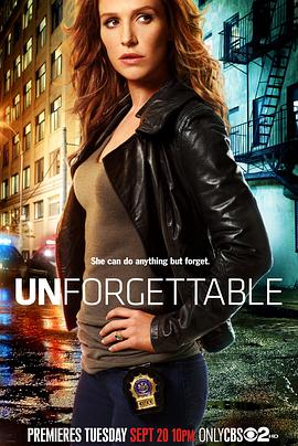 记忆神探 第一季 Unforgettable Season 1