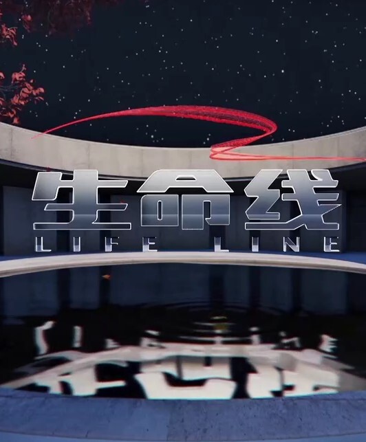 生命线 2024